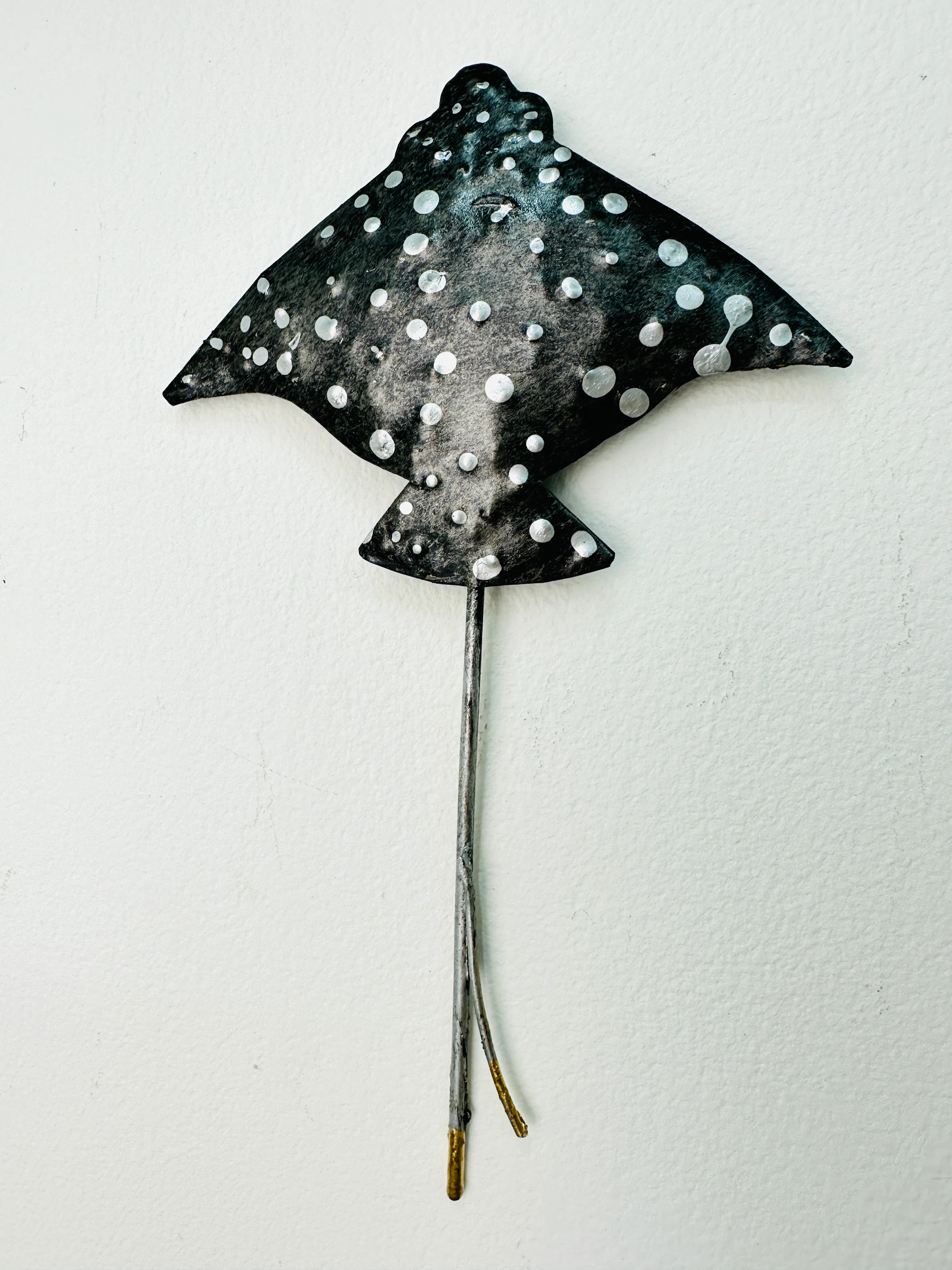 Single Spotted Eagle Ray - Image 2