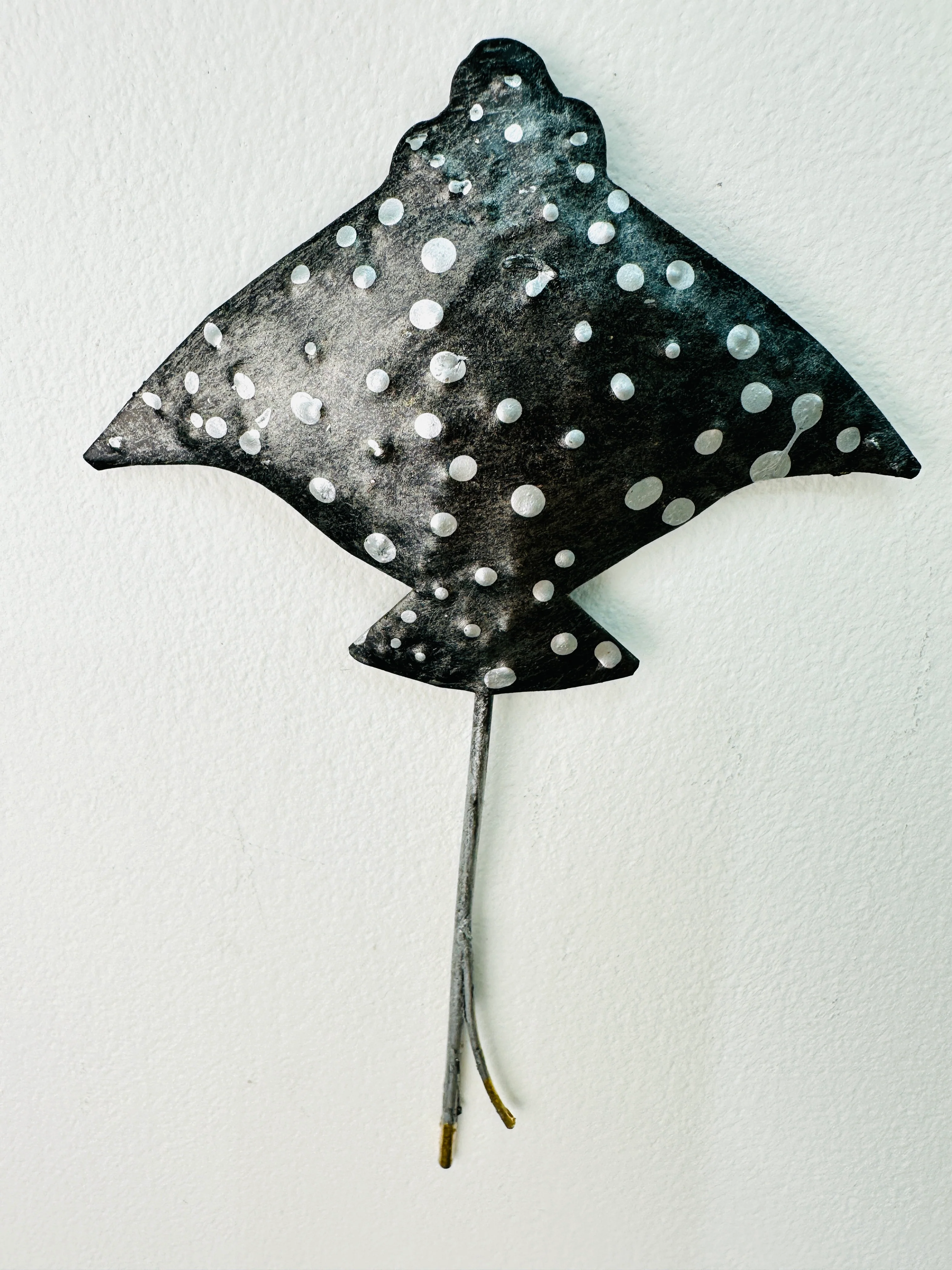 Single Spotted Eagle Ray - Image 3